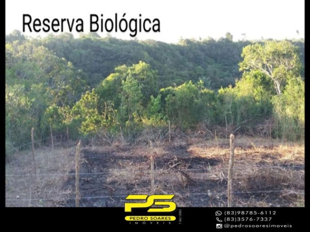 Terreno à venda, 300m² - Foto 1