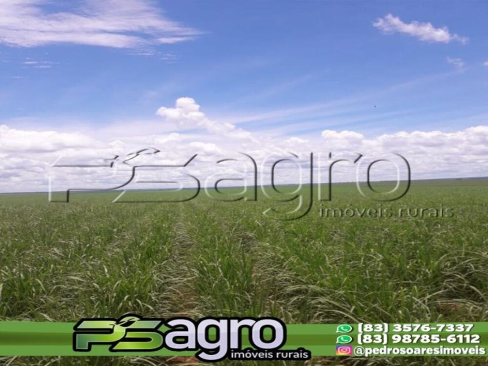 Fazenda à venda, 9075000m² - Foto 2