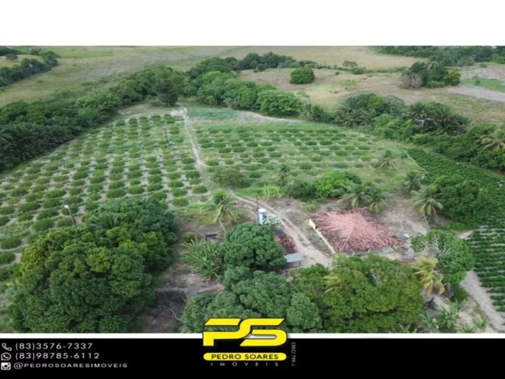 Fazenda à venda com 1 quarto, 60000m² - Foto 1