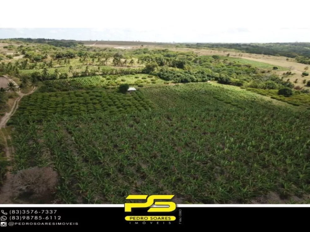 Fazenda à venda com 1 quarto, 60000m² - Foto 3