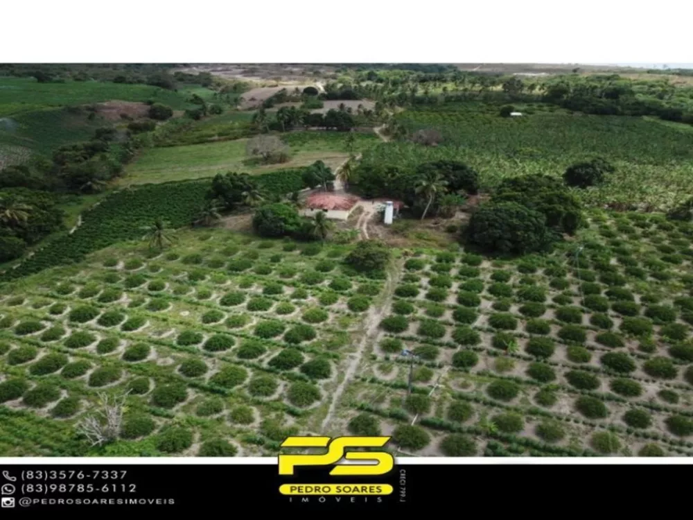 Fazenda à venda com 1 quarto, 60000m² - Foto 2