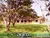 Fazenda, 36244 hectares - Foto 2