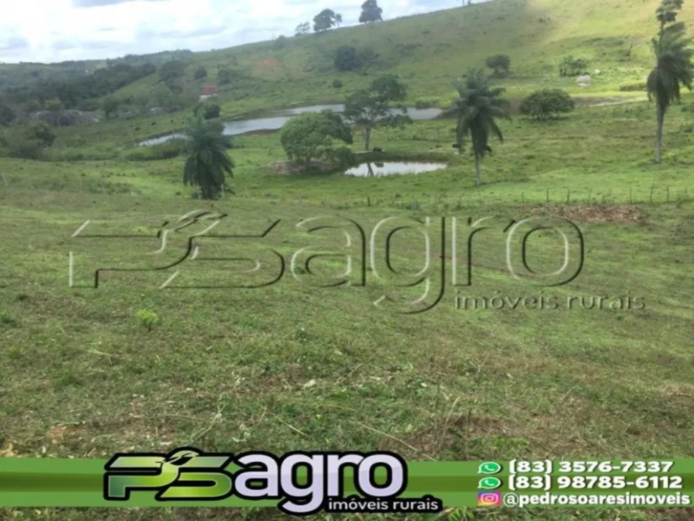 Fazenda à venda com 1 quarto, 100000m² - Foto 3