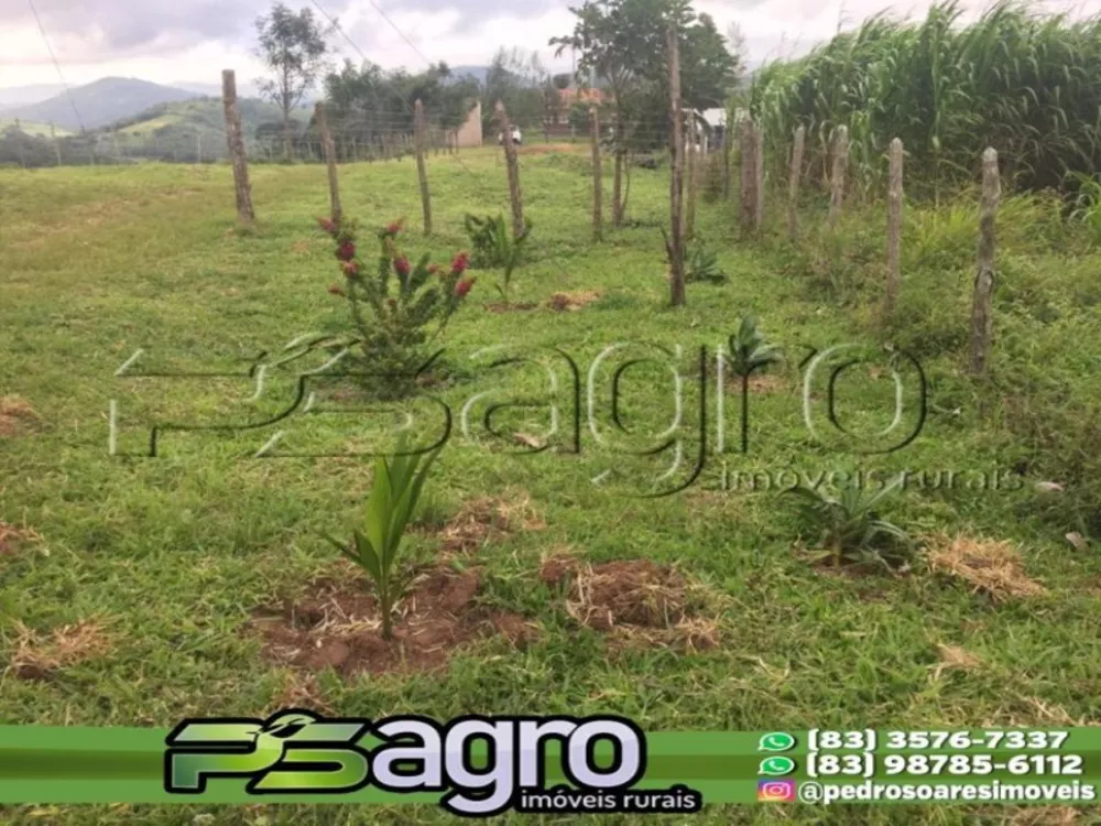 Fazenda à venda com 1 quarto, 100000m² - Foto 4