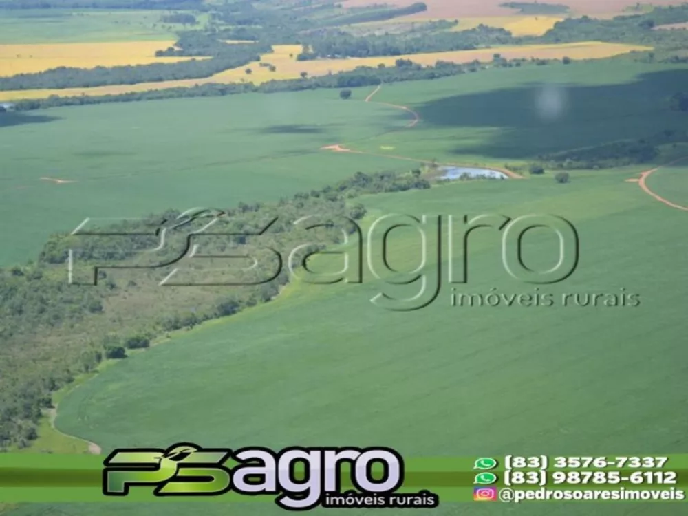 Fazenda à venda, 20000000m² - Foto 3