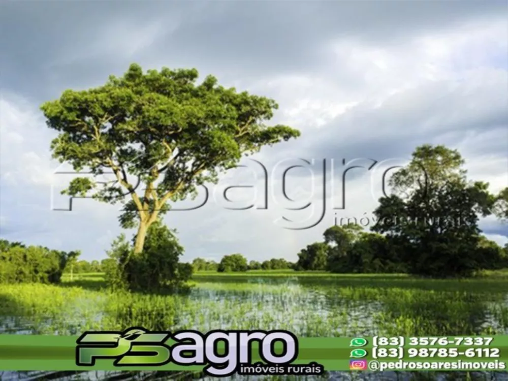 Fazenda à venda, 800000000m² - Foto 1