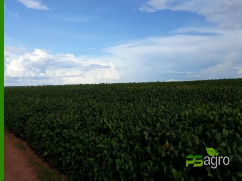 Fazenda à venda, 48000000m² - Foto 2