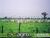 Fazenda, 100000 hectares - Foto 4