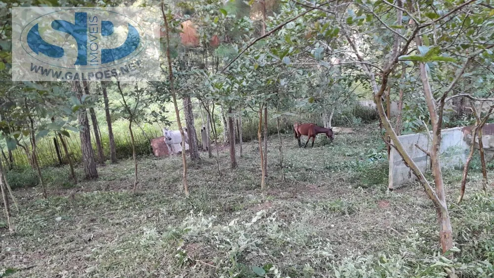 Loteamento e Condomínio, 2 hectares - Foto 7