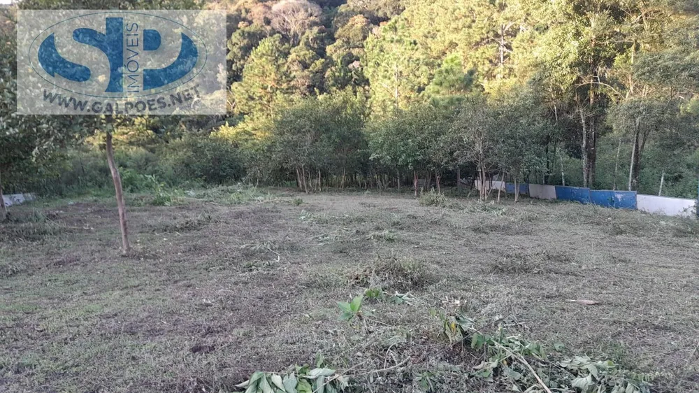 Loteamento e Condomínio, 2 hectares - Foto 4