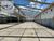 Depósito-Galpão, 2000 m² - Foto 3