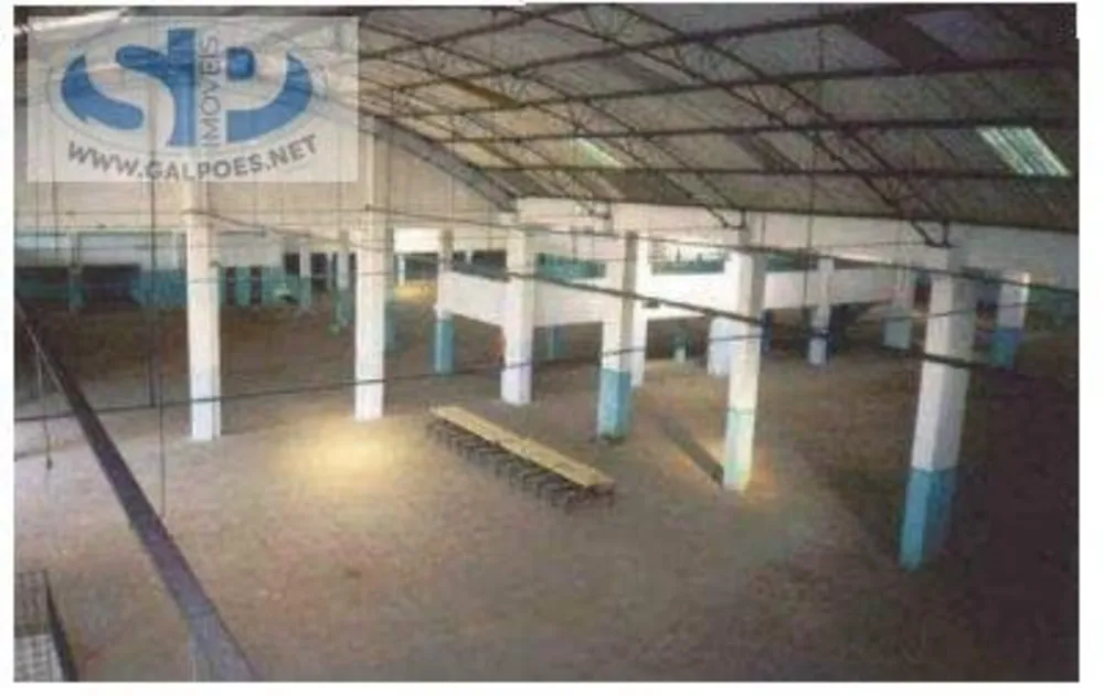 Depósito-Galpão, 7013 m² - Foto 2