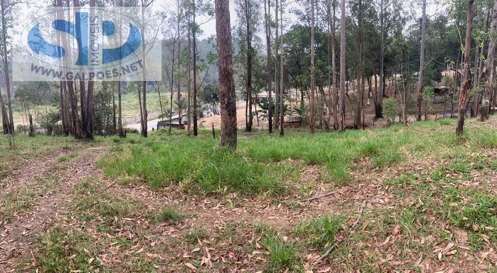 Loteamento e Condomínio, 6 hectares - Foto 1
