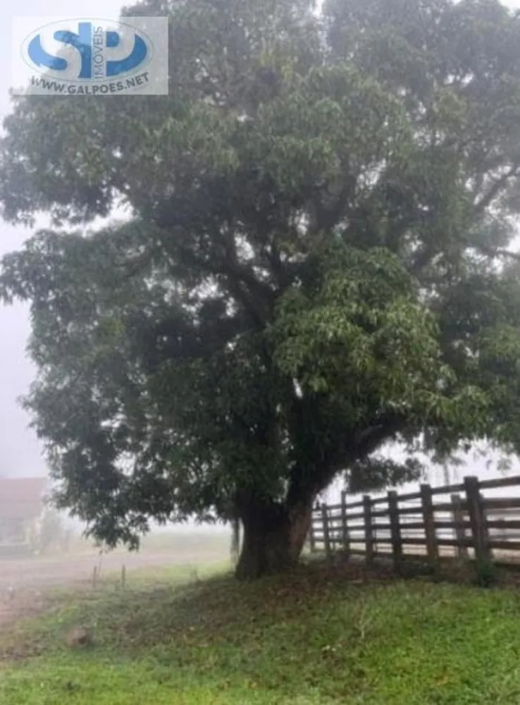 Loteamento e Condomínio, 308 hectares - Foto 10