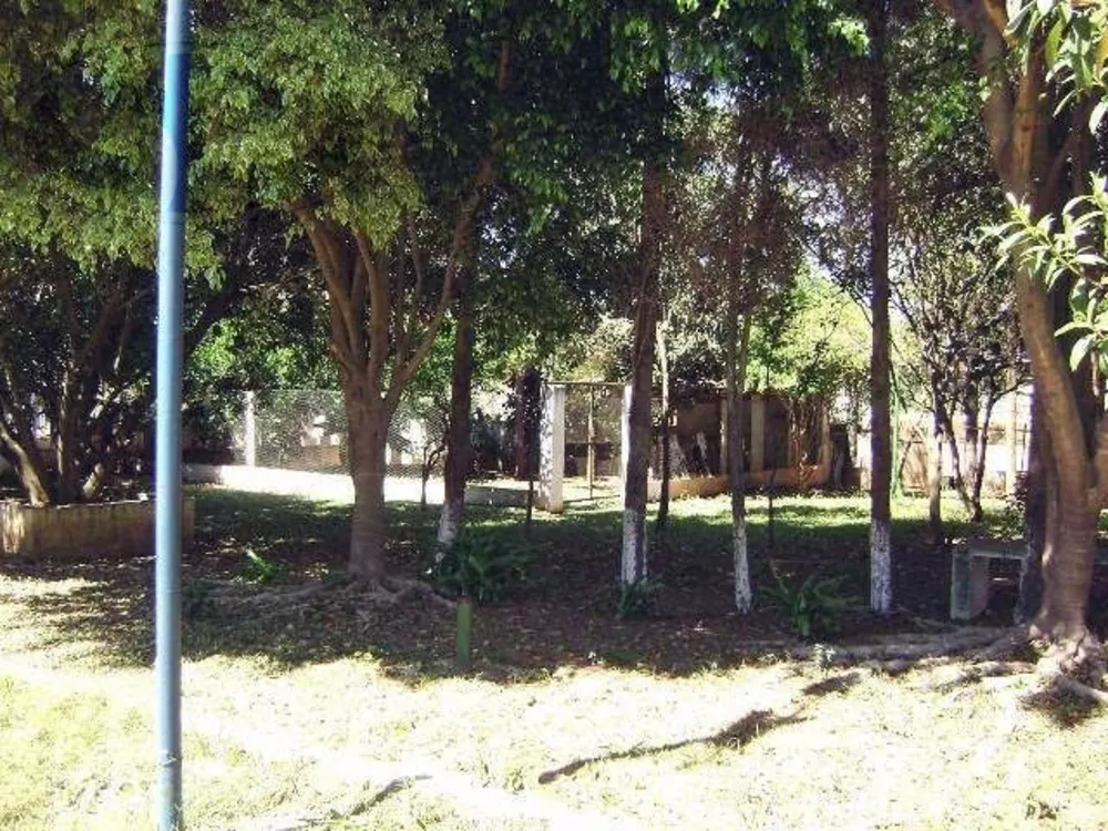 Depósito-Galpão, 4000 m² - Foto 3