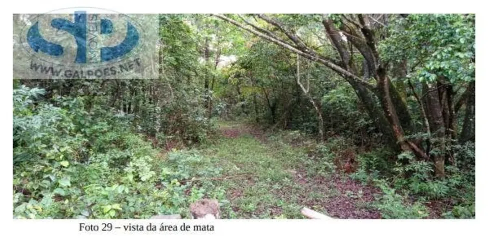 Depósito-Galpão, 3190 m² - Foto 6
