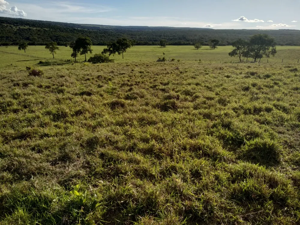 Fazenda, 670 m² - Foto 8