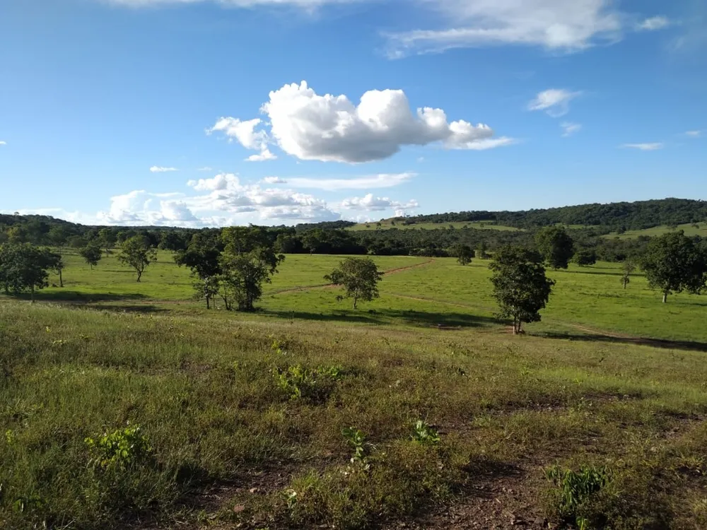 Fazenda, 670 m² - Foto 2