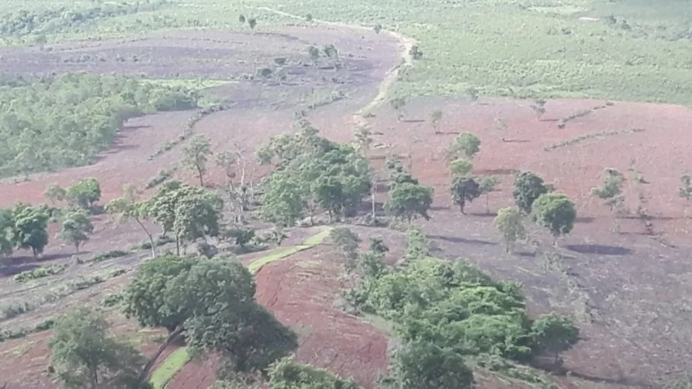 Fazenda à venda, 1000m² - Foto 8