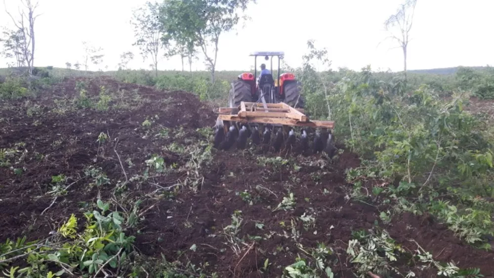 Fazenda à venda, 1000m² - Foto 11