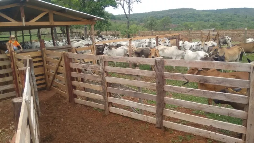 Fazenda à venda, 1000m² - Foto 6