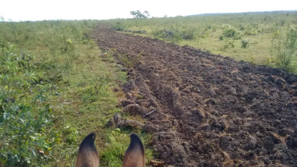 Fazenda à venda, 1000m² - Foto 9