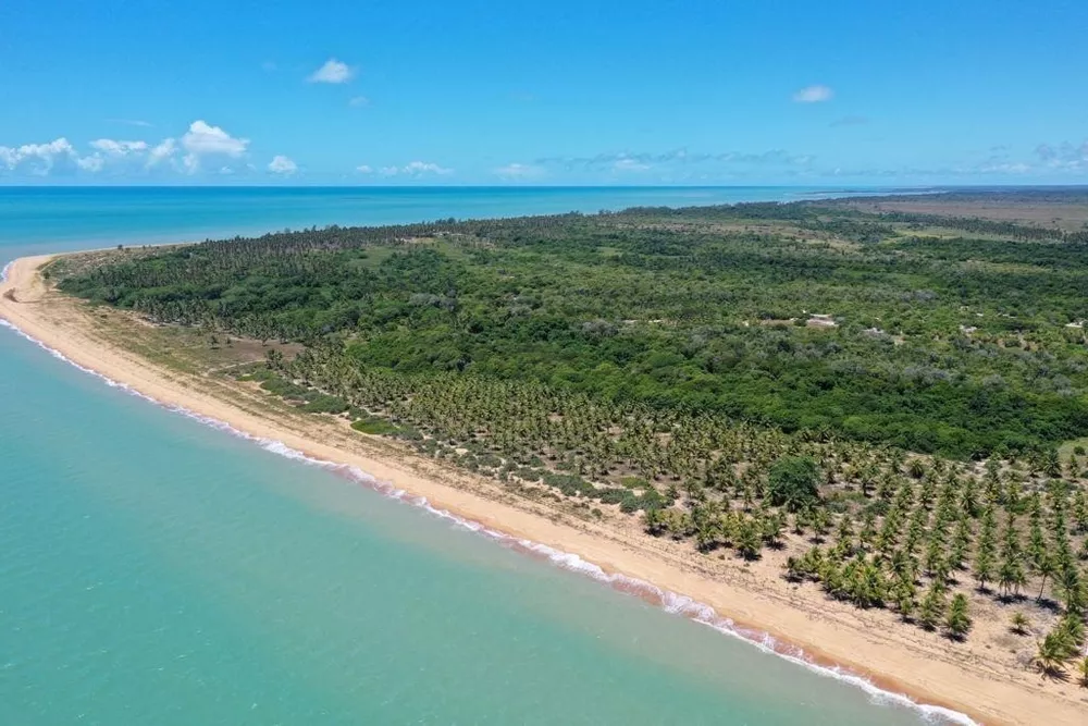 Fazenda à venda com 6 quartos, 52500m² - Foto 7