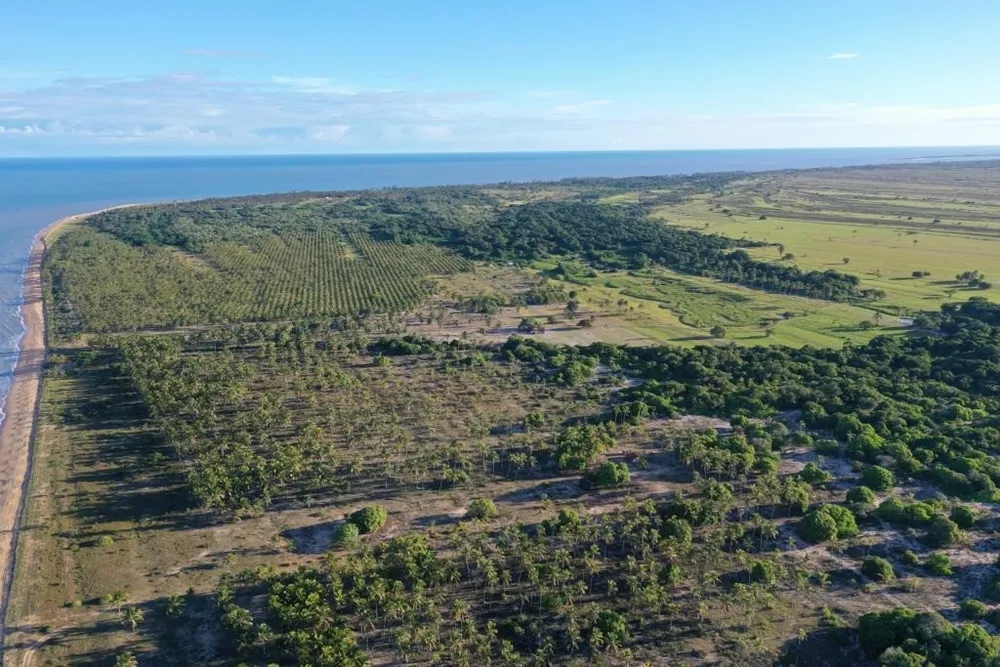 Fazenda, 5 hectares - Foto 10