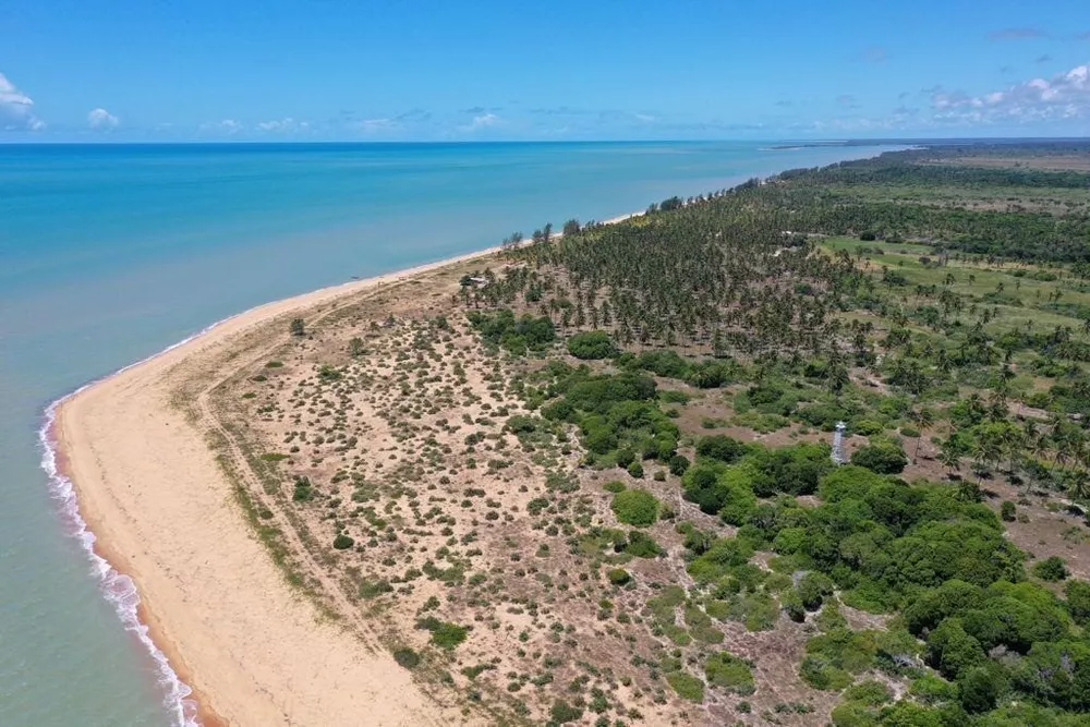 Fazenda à venda com 6 quartos, 52500m² - Foto 3