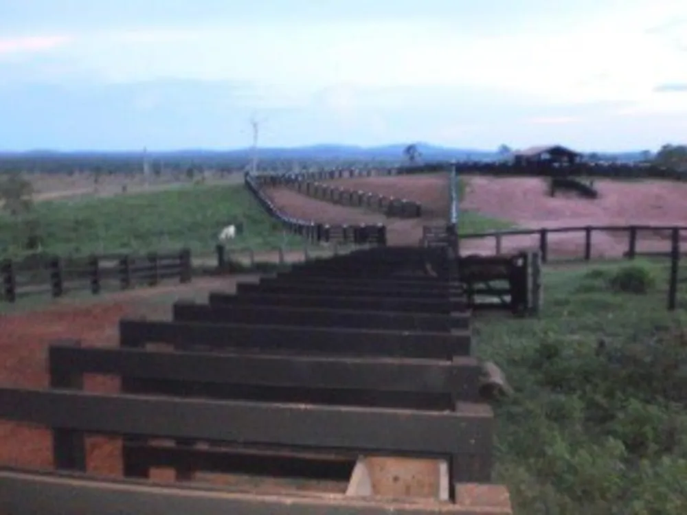 Fazenda - Foto 1