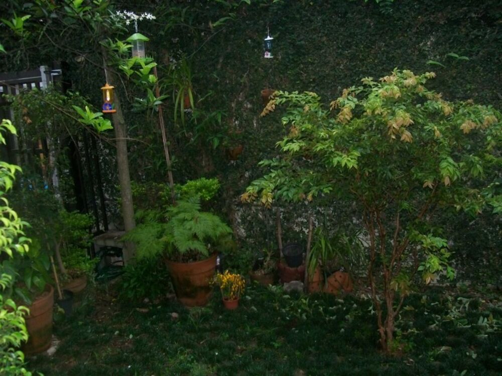 Casa, 2 quartos, 200 m² - Foto 12
