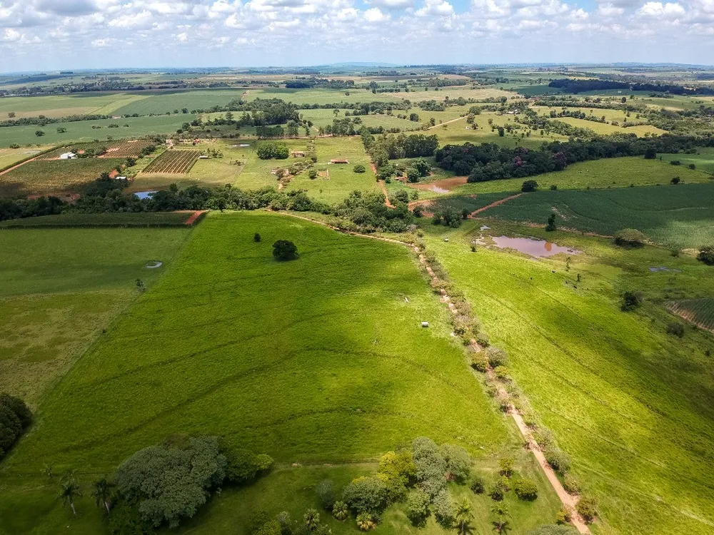 Fazenda - Foto 1