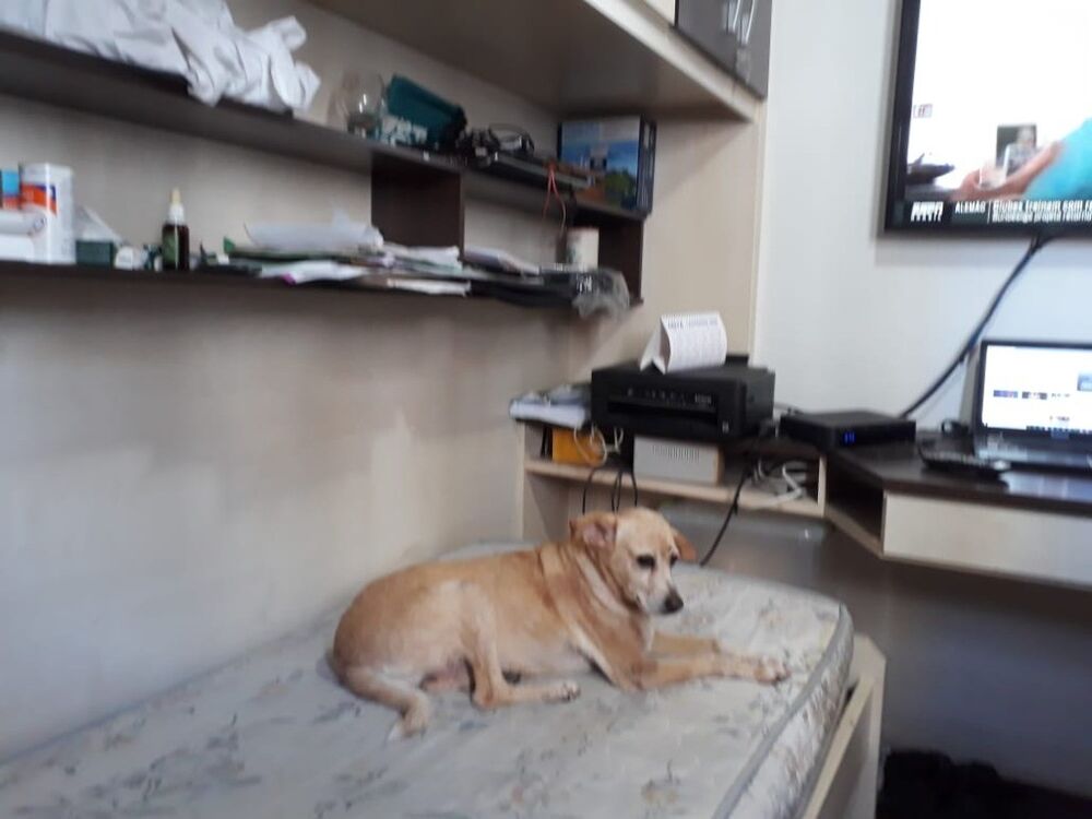 Apartamento, 3 quartos, 96 m² - Foto 2