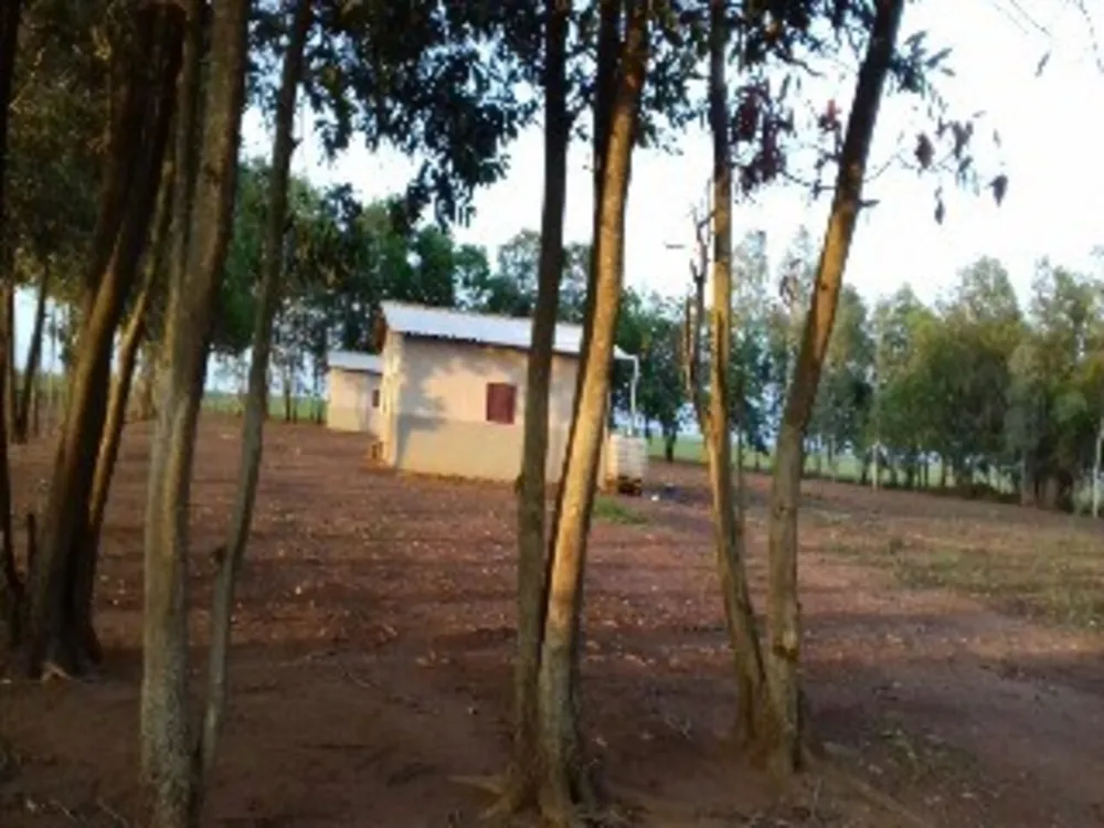 Fazenda - Foto 1