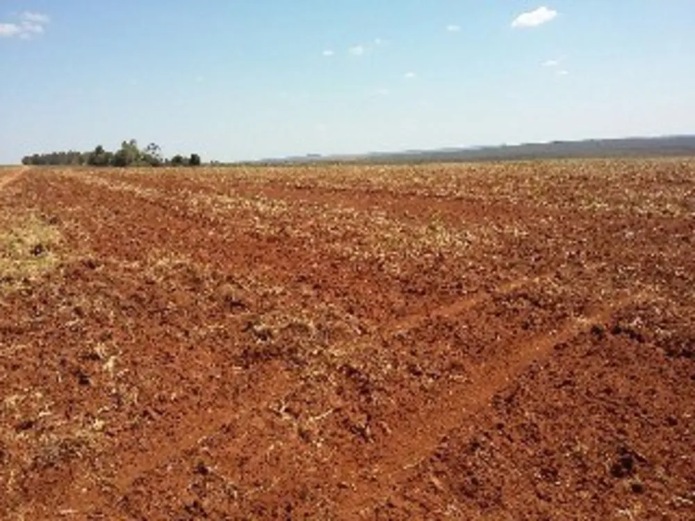 Fazenda - Foto 2