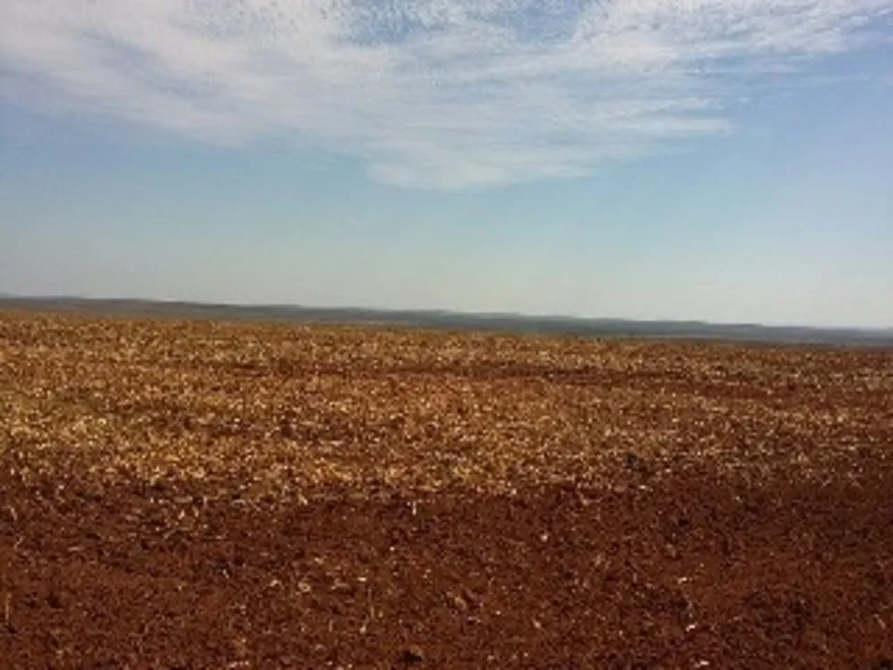 Fazenda - Foto 3