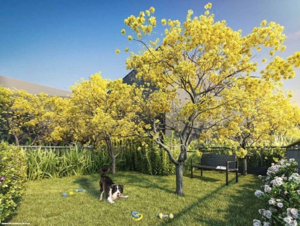 Apartamento, 4 quartos, 141 m² - Foto 13