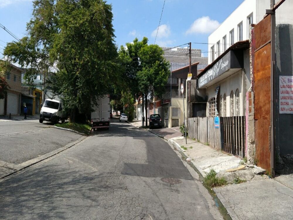 Casa, 4 quartos, 495 m² - Foto 4