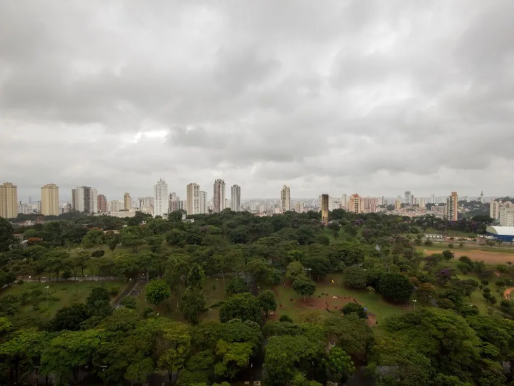Apartamento, 4 quartos, 355 m² - Foto 11