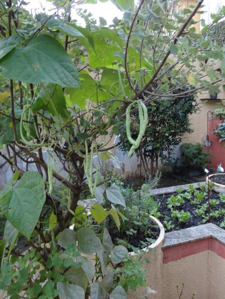 Sobrado, 6 quartos, 461 m² - Foto 15