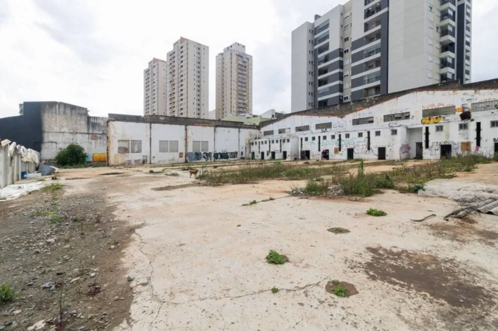 Terreno, 2392 m² - Foto 11