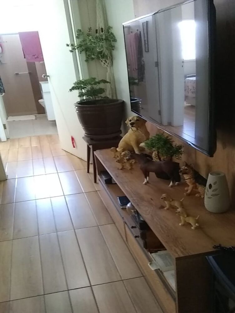 Apartamento à venda com 1 quarto, 56m² - Foto 5