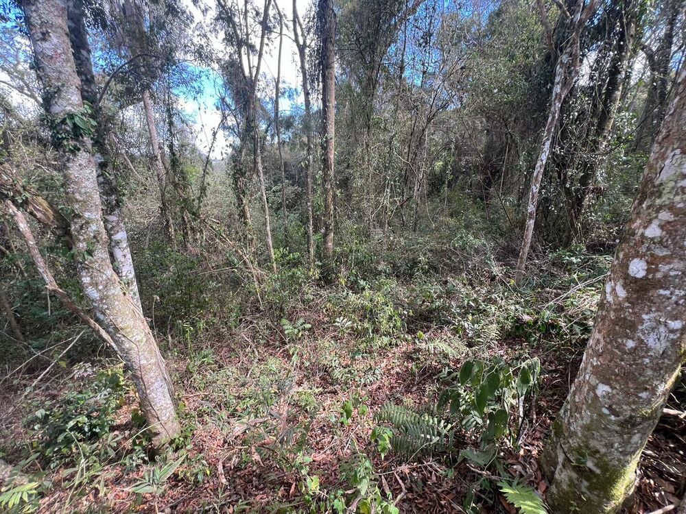 Terreno, 362 m² - Foto 6