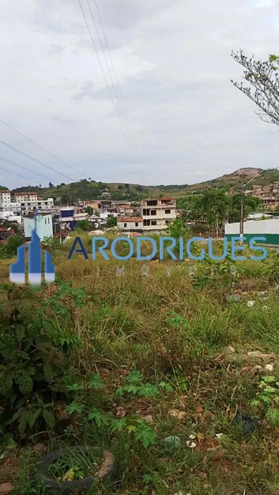 Loteamento e Condomínio, 1 hectares - Foto 4