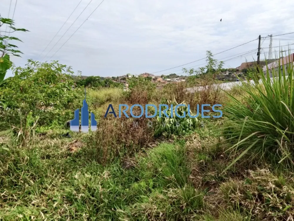 Loteamento e Condomínio, 1 hectares - Foto 3