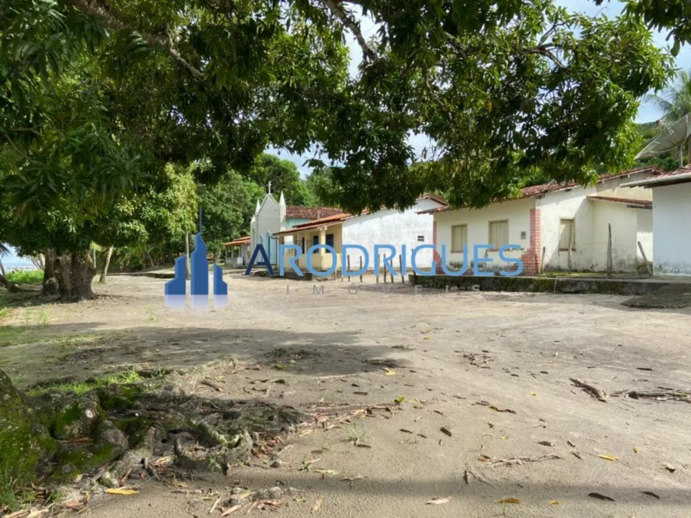 Terreno, 5 hectares - Foto 12