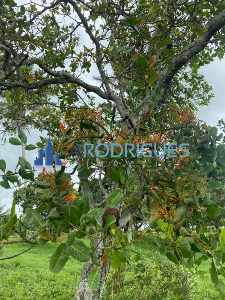 Fazenda, 4356 m² - Foto 7