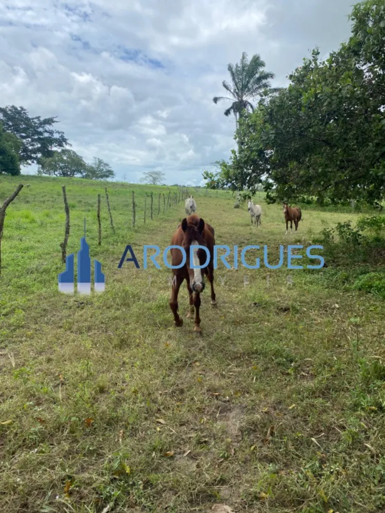 Fazenda, 4356 m² - Foto 2