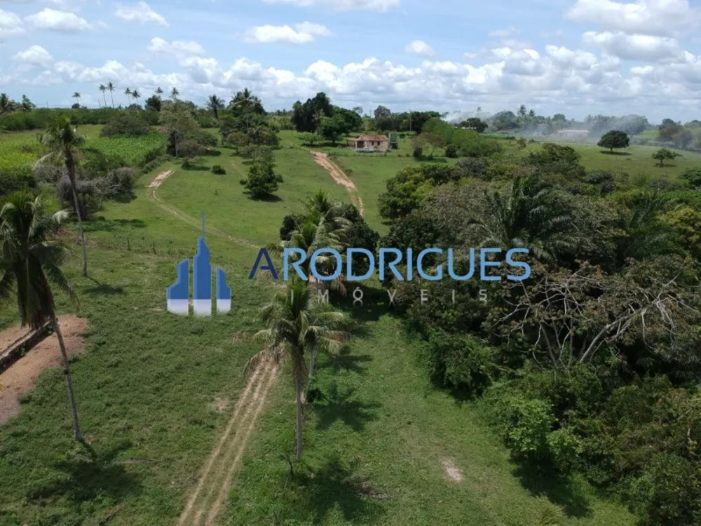 Fazenda, 4356 m² - Foto 5