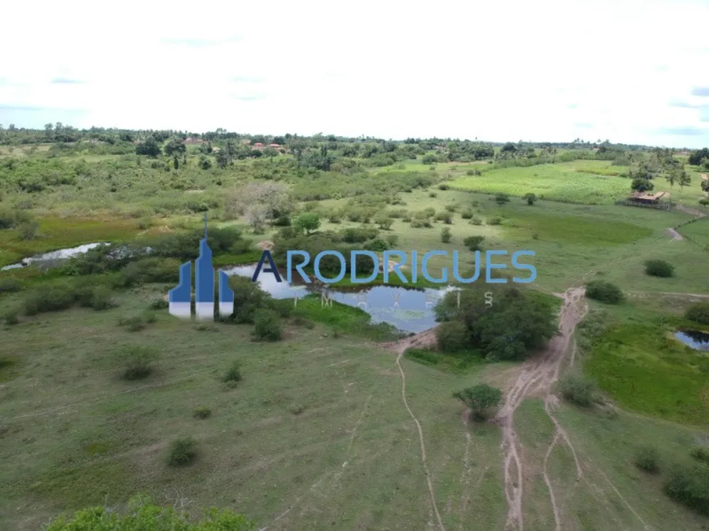 Fazenda, 4356 m² - Foto 4